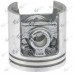 Kit piston drujba Alpina Castor 45 41mm (Episan) 